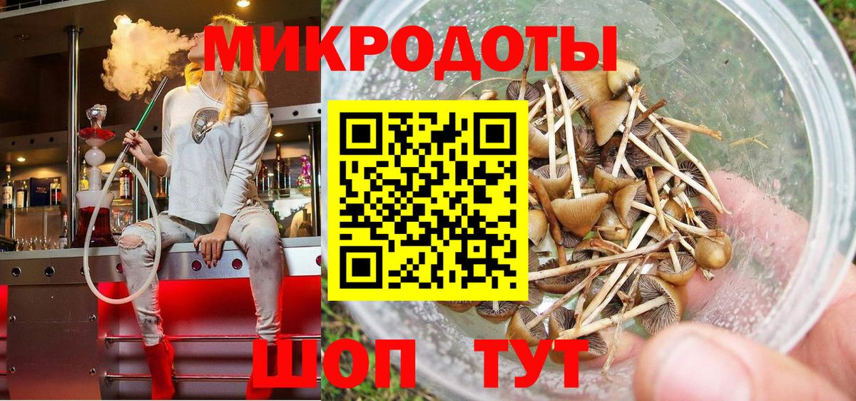 Псилоцибиновые грибы Psilocybine cubensis  Вход с VPN  Кольчугино 